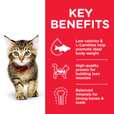 Hill’s Science Plan Kitten Food With Chicken (3kg)